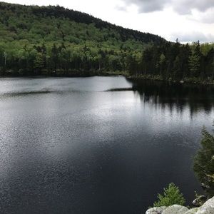 Meet your Posher, Leeanne